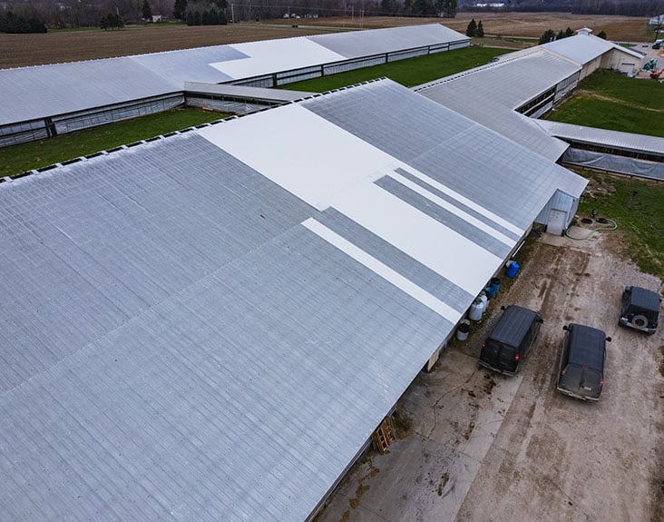 Brookview Dairy Detail Image