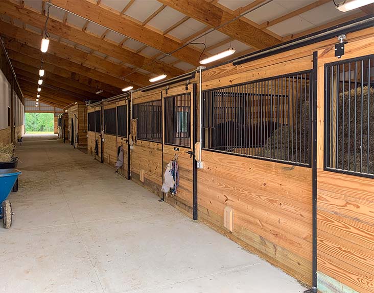 Equine Haven_732x575