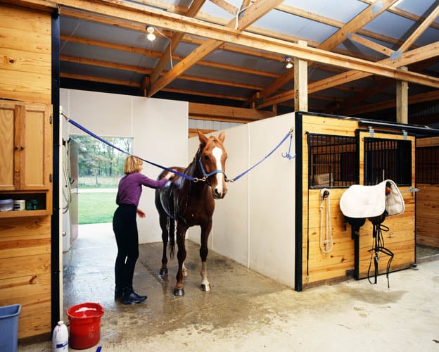 FBi-Riding Arenas-Image-Denny Sy-800x500-3