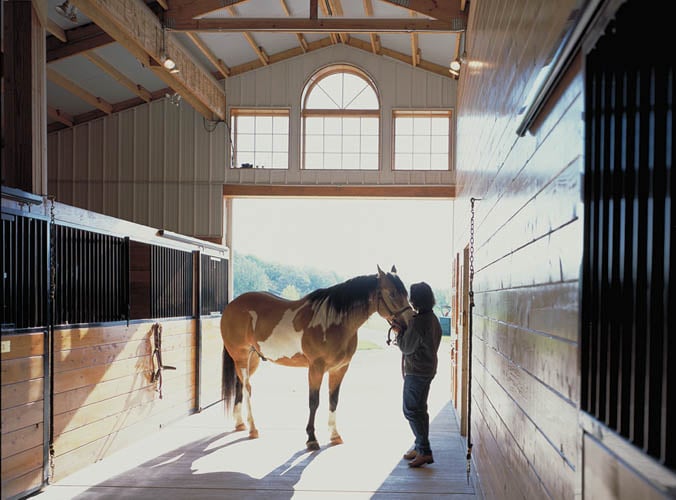 FBi-Riding Arenas-Image-Frank & Sheri Pellegrini-800x500-3